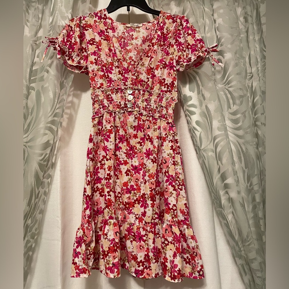 Blush Floral Dress with Pink and Red Accents